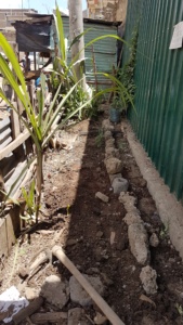 Garden after preparation - we made a trench in the back to collect rainwater that will slowly filter into the ground