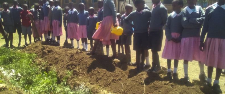 Bring Rainwater Collection to Naivasha Highway Primary School
